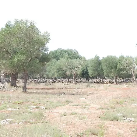 Oasi Del Salento B&B