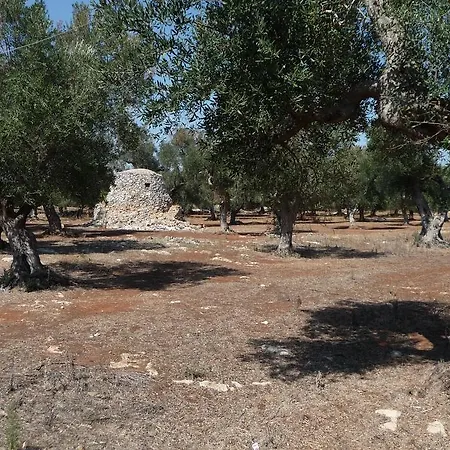 Oasi Del Salento * 코페르티노