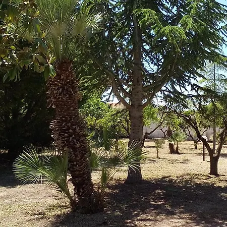 Oasi Del Salento B&B