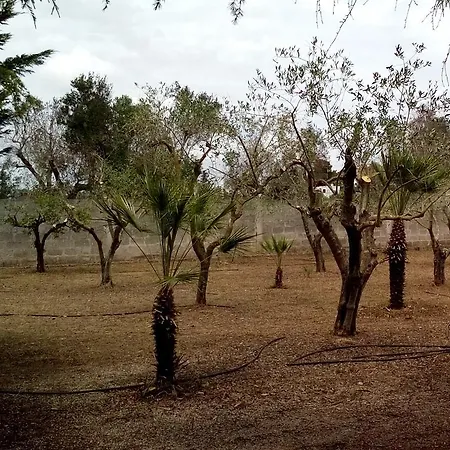 Oasi Del Salento B&B