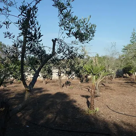 Oasi Del Salento B&B 코페르티노