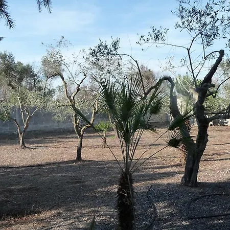 Oasi Del Salento *