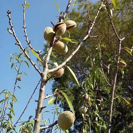 Oasi Del Salento *