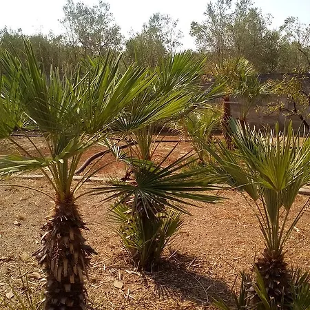 B&B Oasi Del Salento *