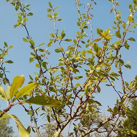 Oasi Del Salento * 코페르티노