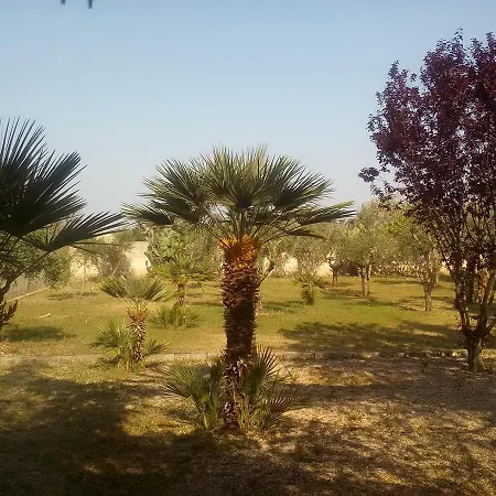 B&B Oasi Del Salento *