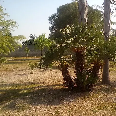 Oasi Del Salento B&B 코페르티노