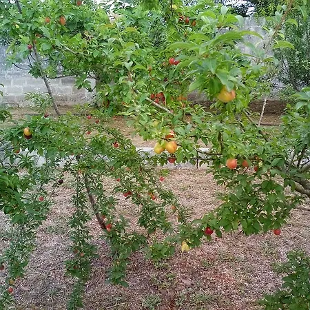 Oasi Del Salento *